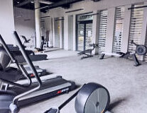 indoor, floor, sport, exercise equipment, gym, exercise device
